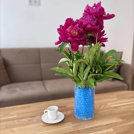 Picturesque Old Town With Charming Balcony Lägenhet Kaunas